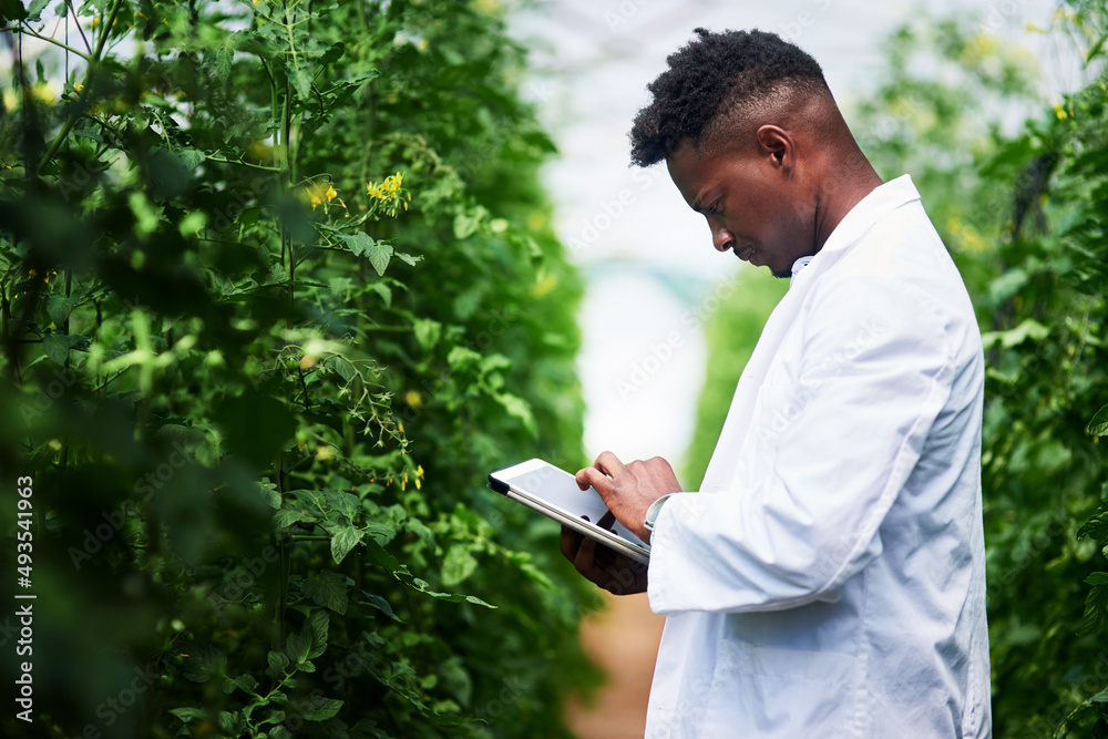 Aufkleber quickly getting more info about this plant online. shot of a handsome young botanist using a digital
