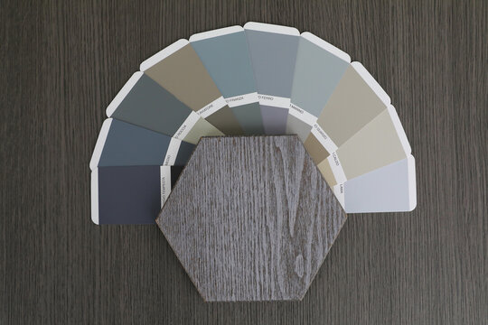 natural veneer painted according to the ral palette wall panels ecological carpentry material for doors and furniture and interior design