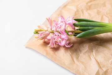 Parchment with hyacinth flower on white background, closeup