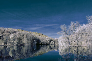 infrared photography - surreal ir photo of landscape with trees under cloudy sky - the art of our...