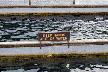 Hands do not belong in these waters