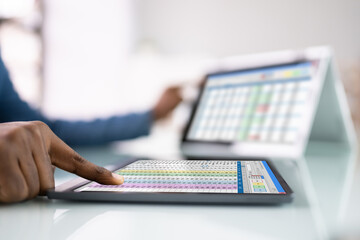 Financial Analyst Using Spreadsheet Software