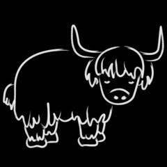 bull skull with horns