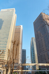 Fototapeta premium 東京都新宿区西新宿の都市景観