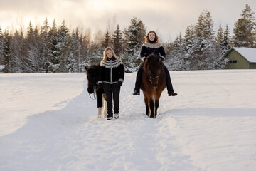 Fototapeta na wymiar Two Icelandic horses and riders walking on the snowy road in countryside. During sunset.