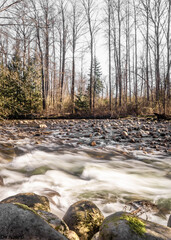 Coquitlam river