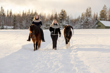 Two Icelandic horses and riders walking on the snowy road in countryside. During sunset.