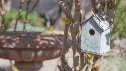 birdhouse in the garden with lizard
