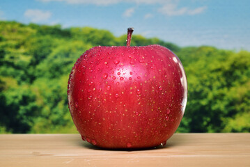 フレッシュなリンゴと遠景