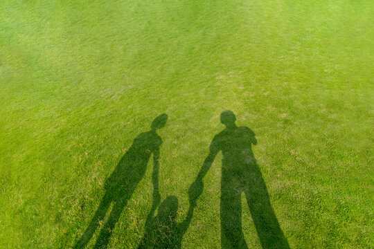 芝生に映る手を繋いだ親子のシルエット。仲良し,親子,家族のイメージ