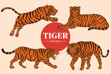 Fototapeta na wymiar Set Tiger face wild poses isolated cartoon illustration