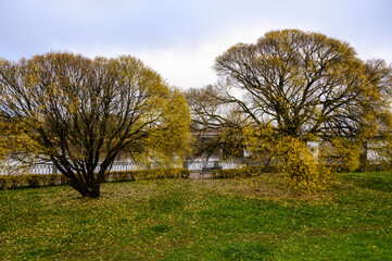 Fototapeta premium Bench in the autumn park. beautiful autumn park