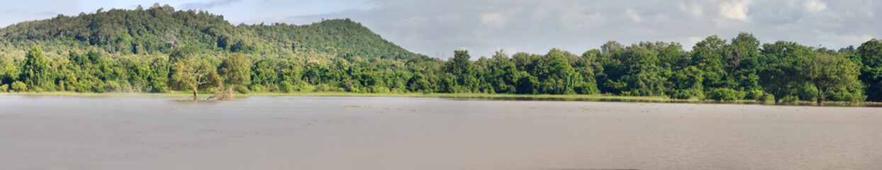 Lake and swamp in middle of rainforest: green hills, forested mountains of Central plateau. Sri...