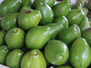 Persea americana or avocado is believed to have originated in central america, this fruit was introduced to indonesia by the dutch east indies around 1920-1930