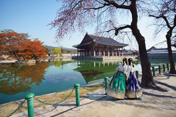 Female traveler in korean national dress or Hanbok traveling into the Gyeongbokgung Palace with cherry blossom - 493559757