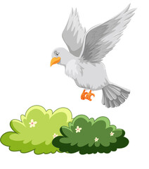 White dove flying over bush