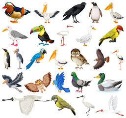 Obraz premium Different kinds of birds collection