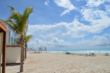 南国の砂浜とヤシの木