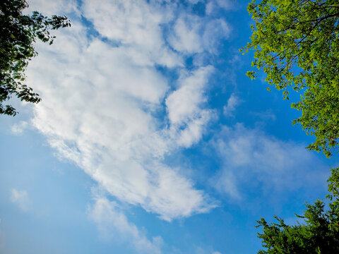 Blue Sky and White Clouds