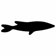Fish Black Silhouette Illustration Isolated on White Background.