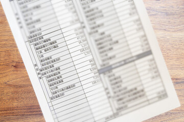 会社の決算書類 貸借対照表B/S バランスシート 固定資産