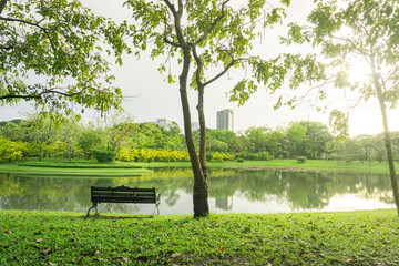 A park with lake and fresh green plants, Vachirabenjatas Park at Bangkok, Thailand.