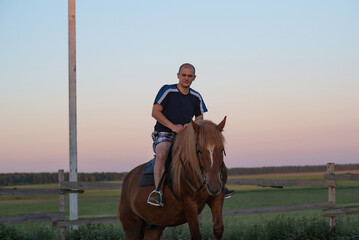 A man rides a horse in the evening in the summer. There are a lot of midges flying around.