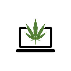 Laptop and marijuana or cannabis leaf icon isolated on white background