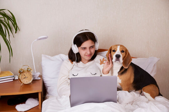 A teenage girl is sitting on the bed under a blanket, wearing headphones, looking at the laptop screen. A beagle dog is nearby. Preparing for bed. Home interior.