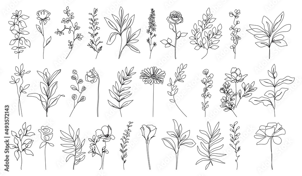 Wall mural line drawing flowers set black sketch isolaned on white background. botanical line art of wildflower