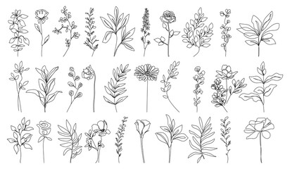 Line Drawing Flowers Set Black Sketch Isolaned on White Background. Botanical Line Art of Wildflower Floral Drawing for Minimalist Wall Decor, Wall Art, Prints, Invitations. Vector EPS 10