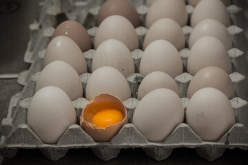 One chicken egg is broken.