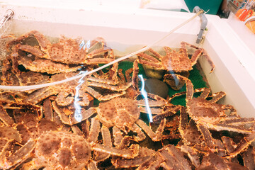 crab on stall