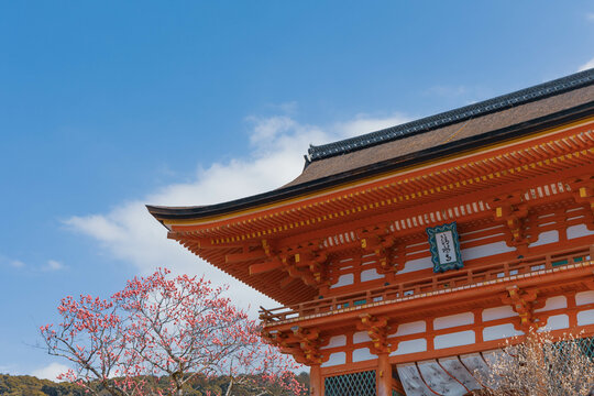 清水寺仁王門 の画像 704 件の Stock 写真 ベクターおよびビデオ Adobe Stock