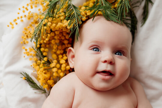 closeup portrait of a newborn baby lying on a white bed with a sprig of mimosa. happy carefree infancy. products for children, natural materials. space for text. High quality photo