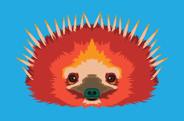 Cute echidna face vector illustration in decorative style, perfect for tshirt style and mascot logo
