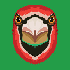 Cute and colorful birds face vector illustration in decorative style, perfect for t shirt design and mascot logo