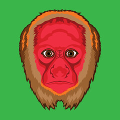 Uakari monkeyface vector illustration in decorative style, perfect for tshirt style and mascot logo