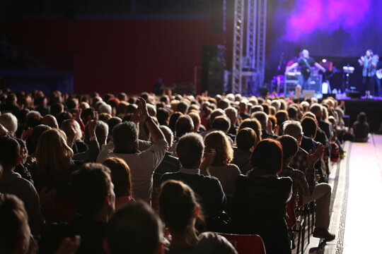 crowd of excited people cheering during a concert with the band on stage