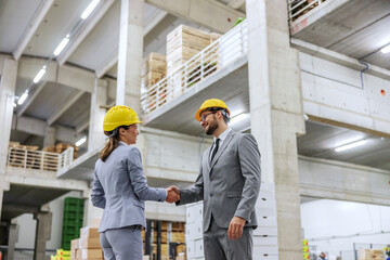 Businesswoman and a businessman at work successfully make a deal