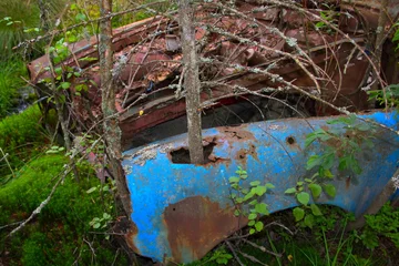 Foto auf Acrylglas Rusten bil med træ der vokser op gennem forskærm © Erik