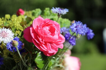 Blomsterbuket med rød rose og mindre blå blomster