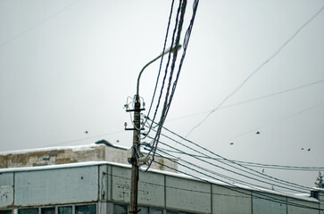 electric wires on the background of a gray sky