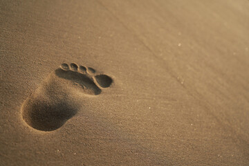 Big footprint on the sandy beach. Depth of field.