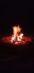 campfire in the beach