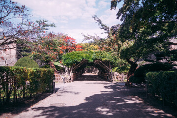 Obraz premium alley in the park