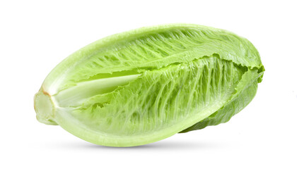 Fototapeta na wymiar Fresh cos lettuce isolated on white