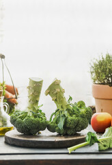 Two whole raw broccoli heads on cutting board at kitchen table with apple,kale, herb and ingredients at window background with natural light. Healthy cooking at home with fresh vegetables. Front view.