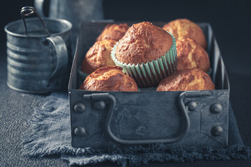 Sweet and tasty yoghurt cupcake as a small sweet snack.