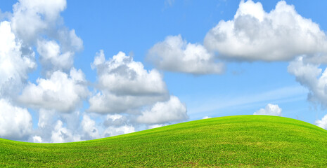green grass and blue sky